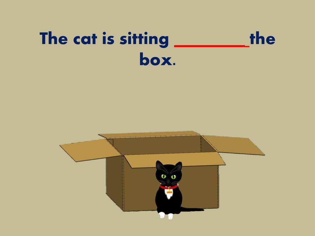 The cat is sitting the box. 