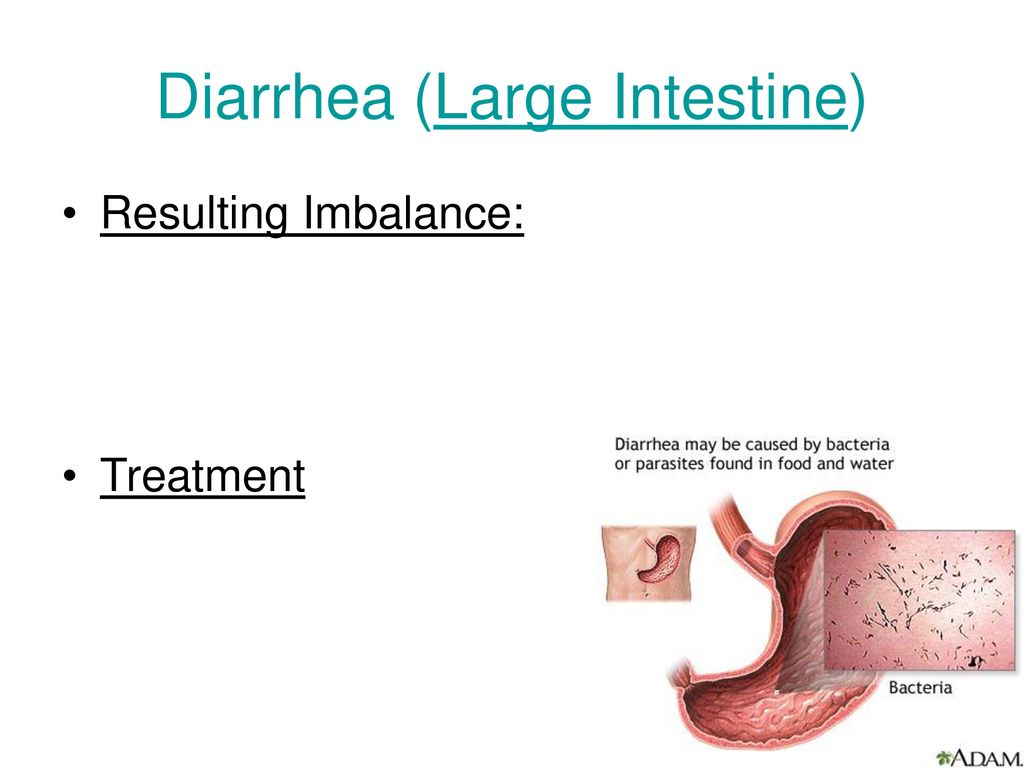 Diarrhea (Large Intestine)