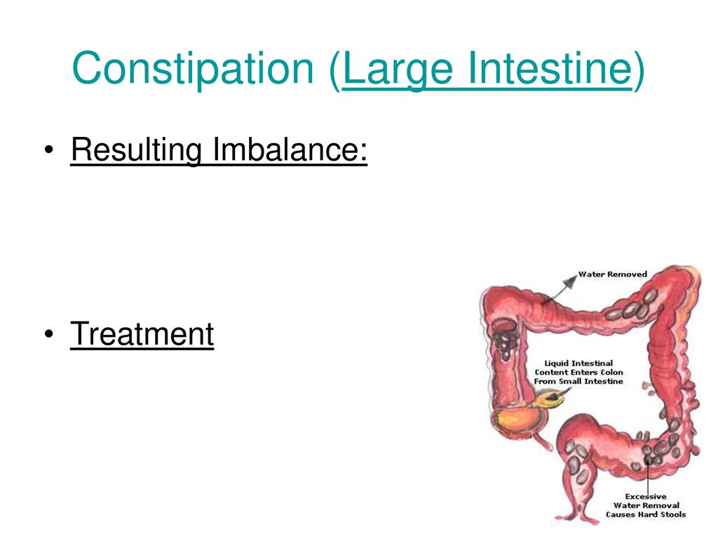 Constipation (Large Intestine)