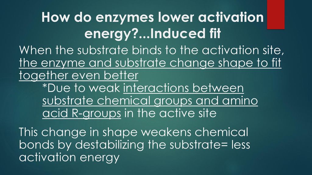 Enzymes. ppt download