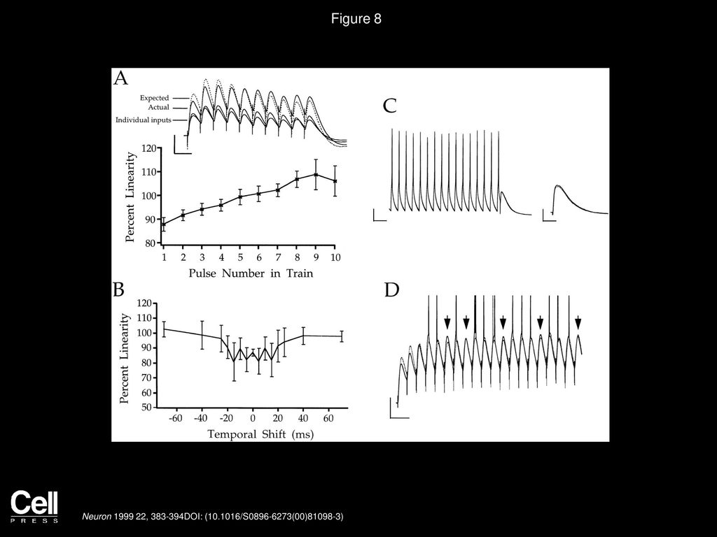 Figure 8 Linear Summation under Trains of Inputs or Action Potentials