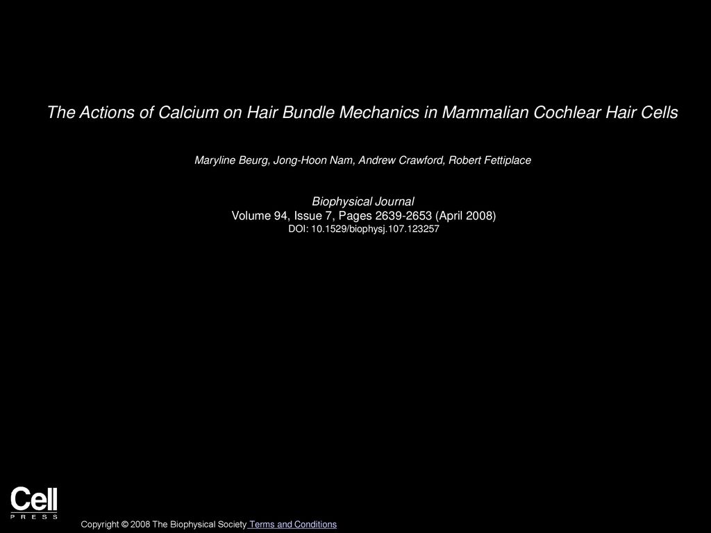 The Actions of Calcium on Hair Bundle Mechanics in Mammalian Cochlear Hair Cells