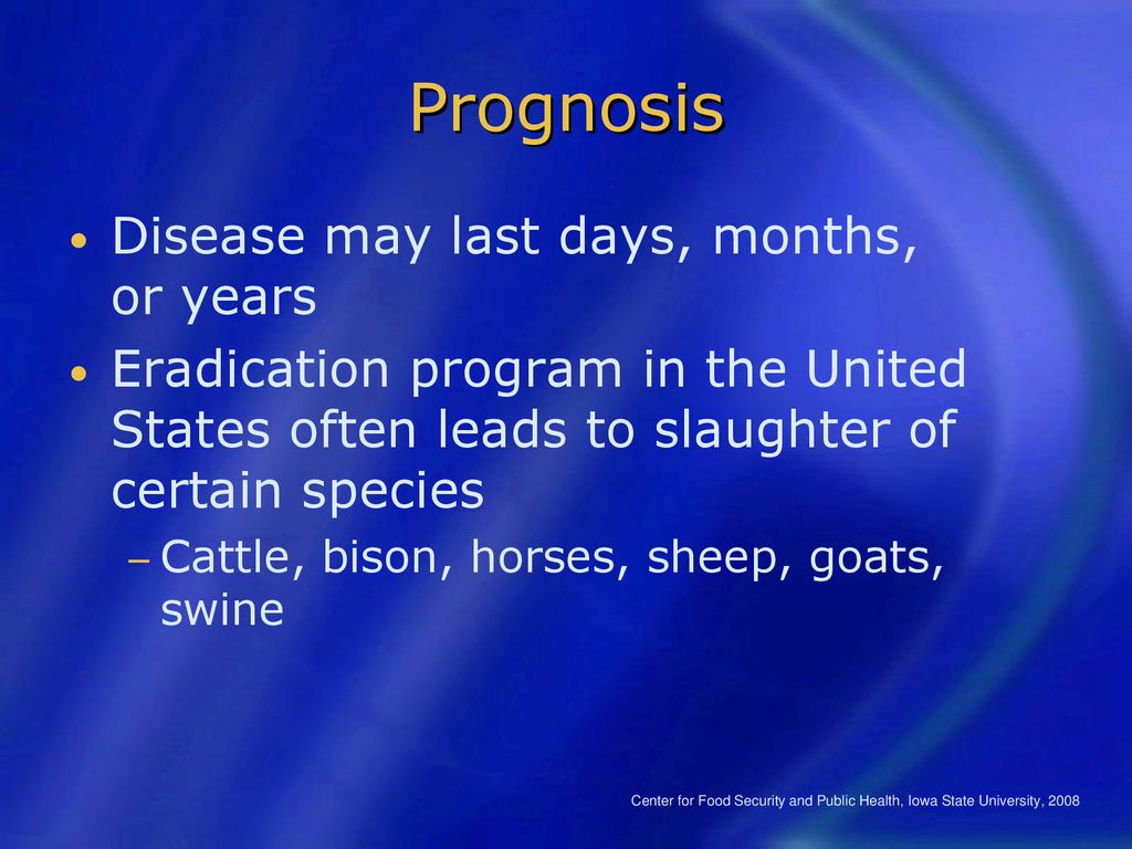 Brucellosis Last Modified: May Ppt Download