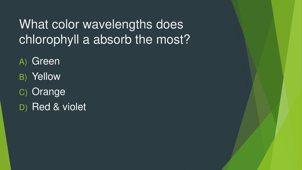 2.9 Photosynthesis. ppt download
