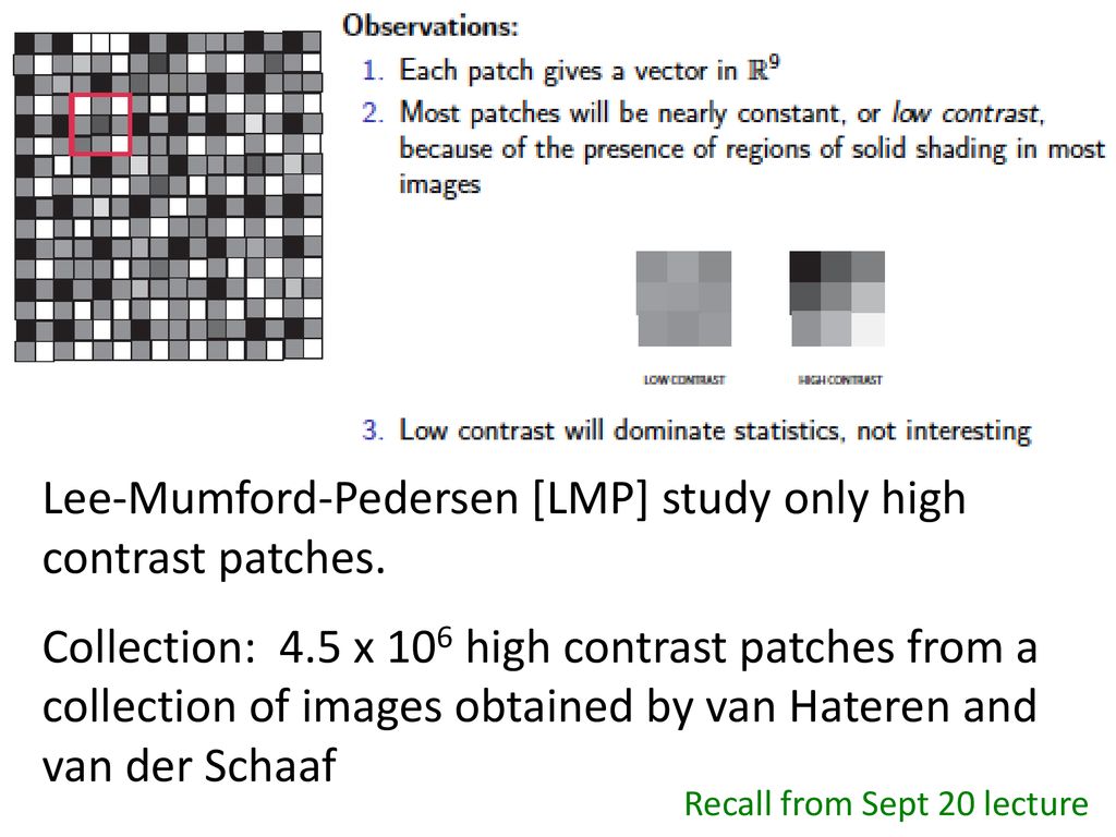 Lee-Mumford-Pedersen [LMP] study only high contrast patches.