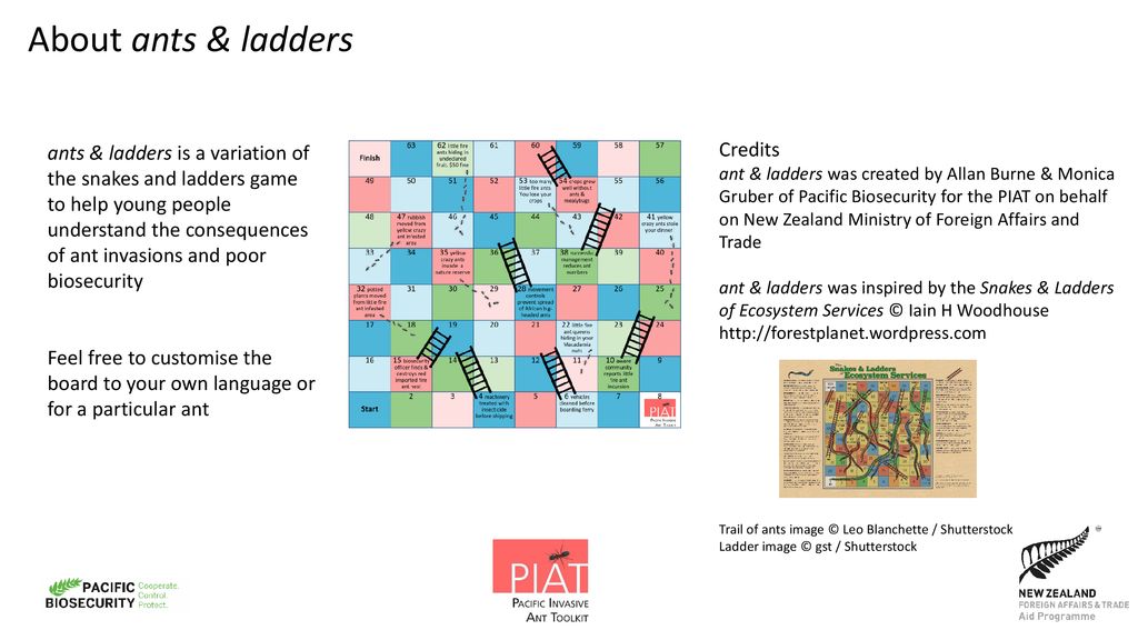 About ants & ladders Credits