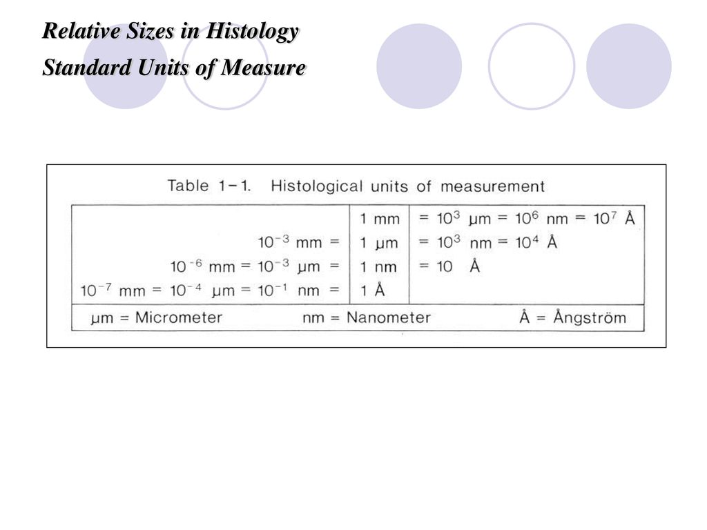 Introduction and Epithelium ppt download