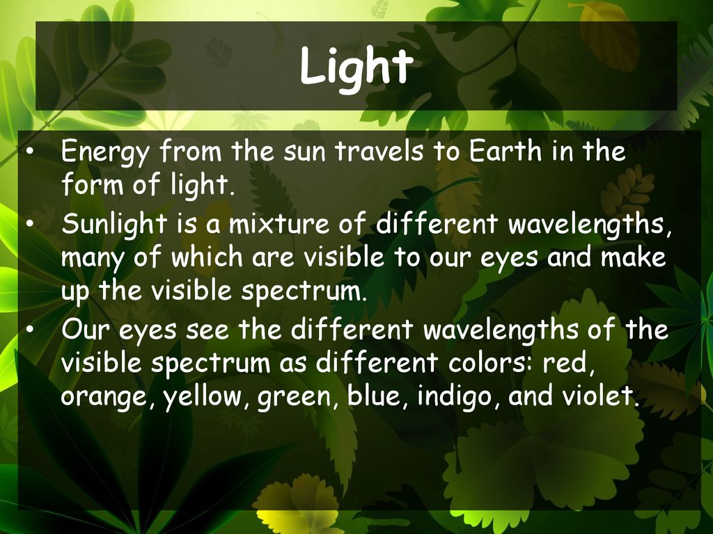 Photosynthesis An Overview Ppt Download photosynthesis-an-overview-ppt-download