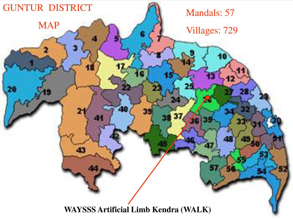 WALK PROJECT WAYSSS Yadavallivari Street, Kothapet, Guntur ,Andhra