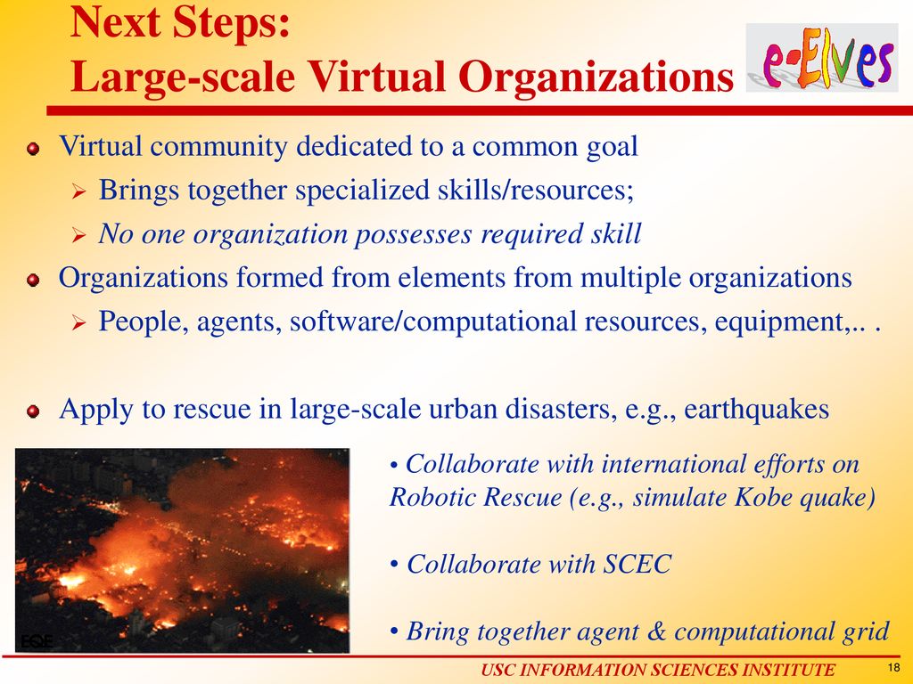 Next Steps: Large-scale Virtual Organizations