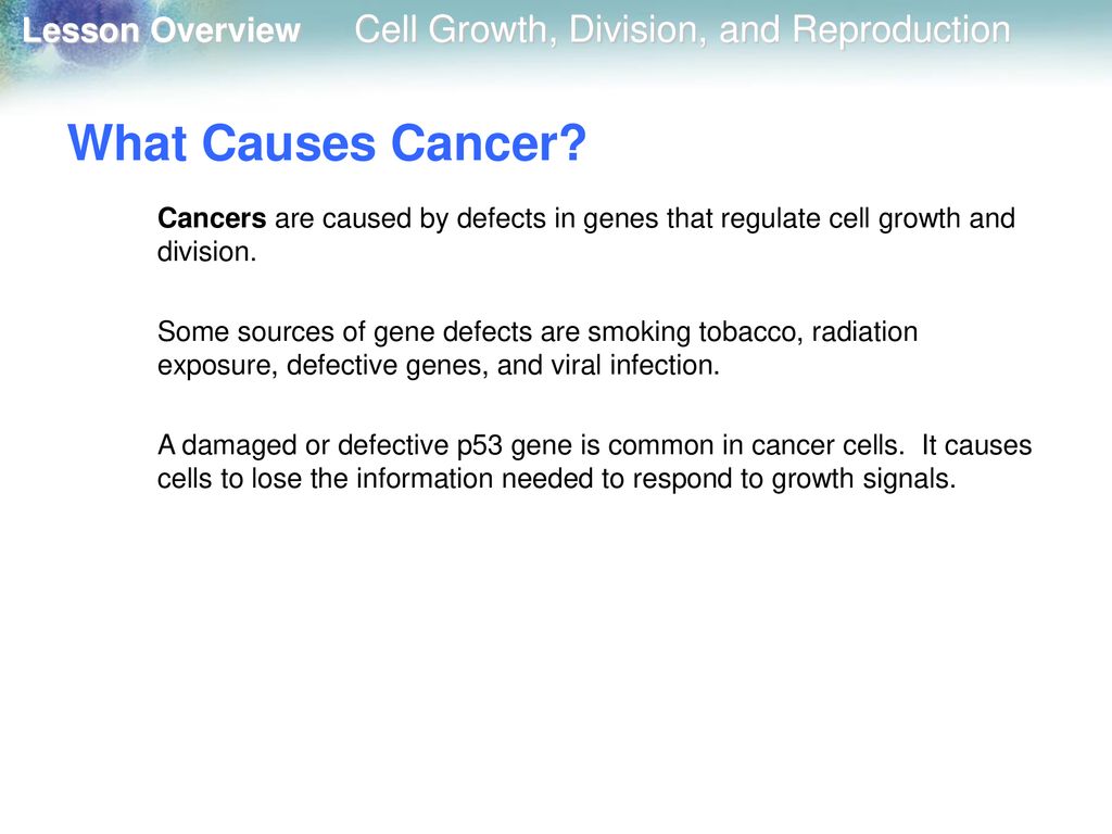 10.1 Cell Growth, Division, and Reproduction Biology Diagrams