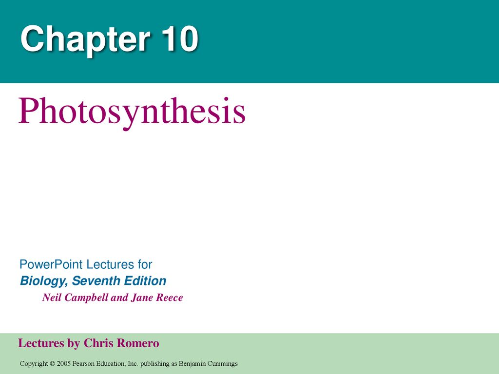 Chapter 10 Photosynthesis. - Ppt Download