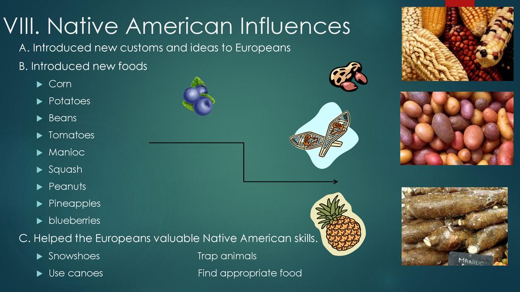 VIII. Native American Influences