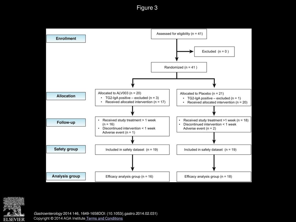 Figure 3 Distribution of patients in the therapeutic intervention study. ITT, intention to treat; TG2-IgA, transglutaminase 2 IgA class antibodies.