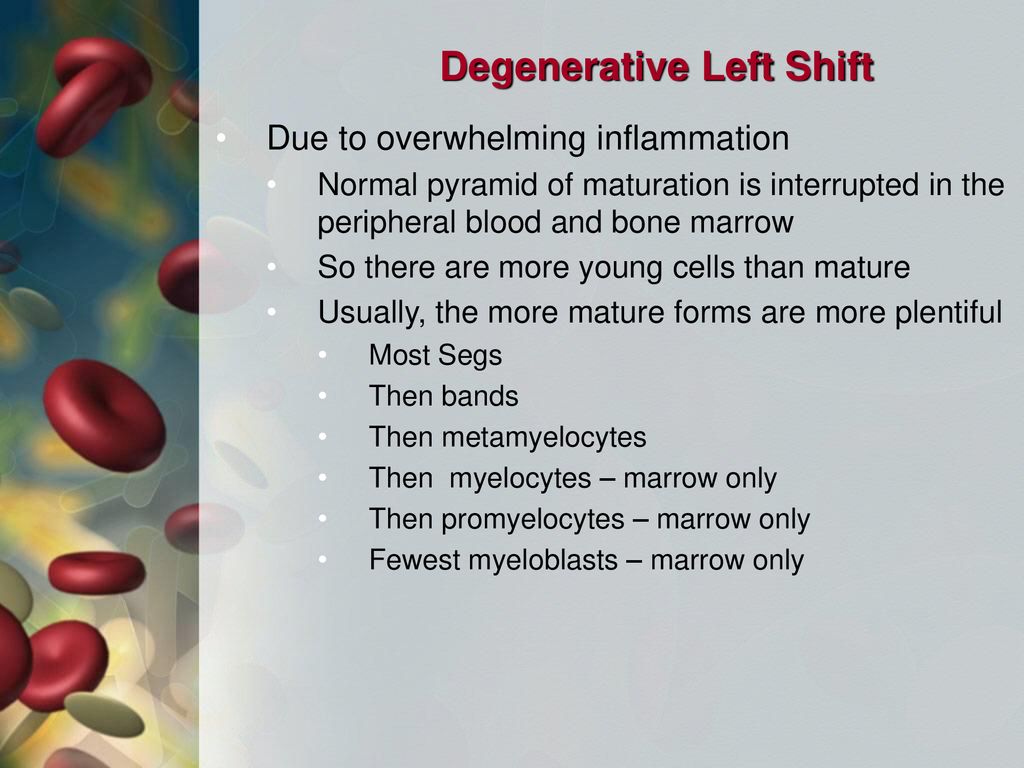 Practical Hematology Leukopenia ppt download