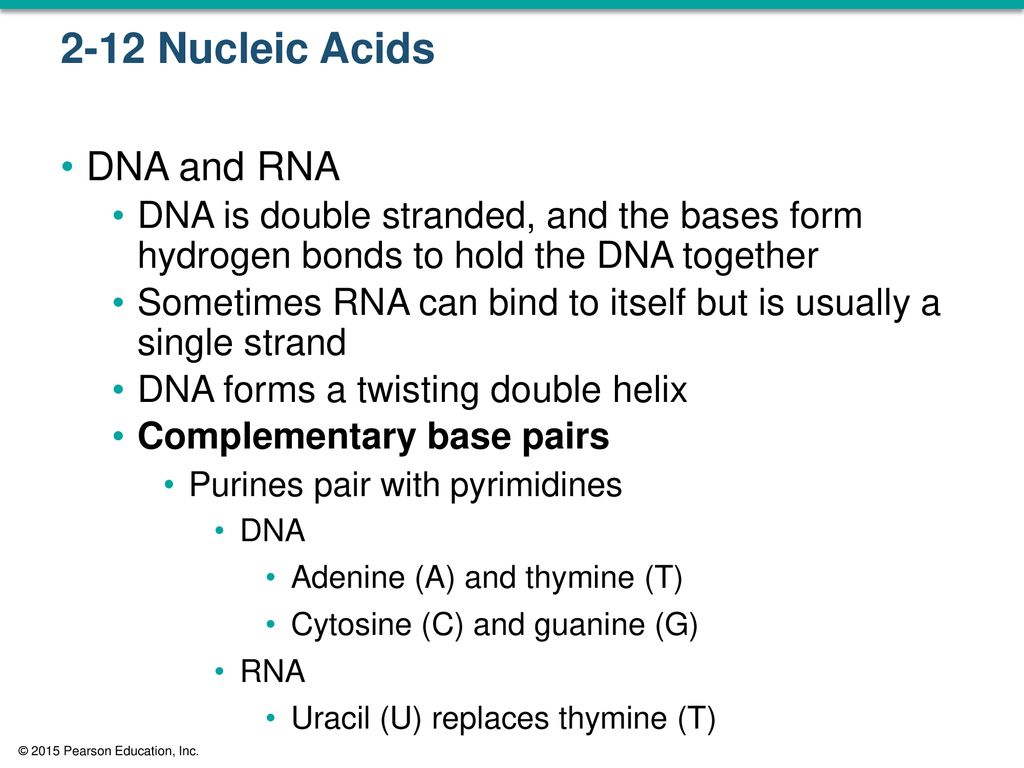 Case Study 1 Proteins – Immune System – Muscles - Nervous System - ppt ...