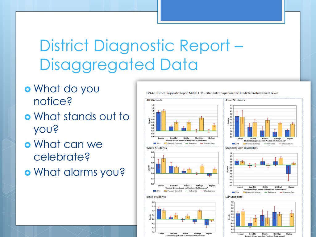 District Diagnostic Report – Disaggregated Data