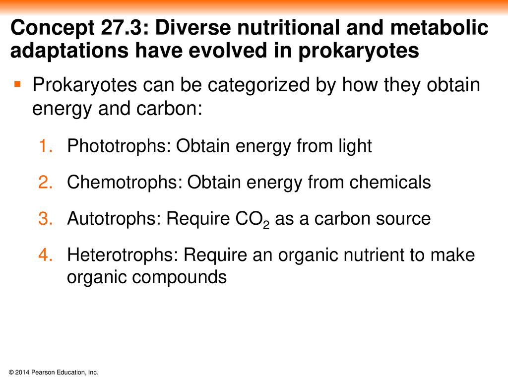 Chapter 27 bacteria archaea ppt download