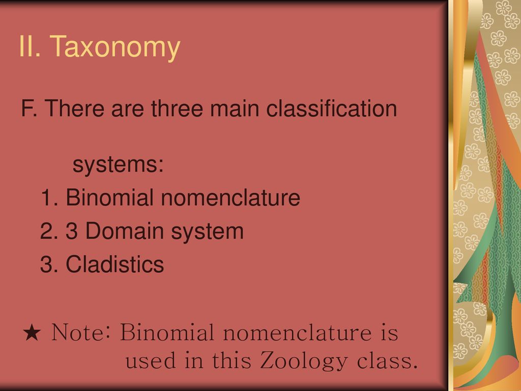 Introduction To Zoology - Ppt Download