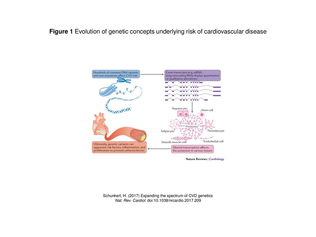Figure 1 Evolution of genetic concepts underlying risk of cardiovascular disease
