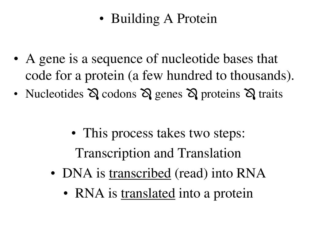 DNA,RNA,protein synthesis - ppt download