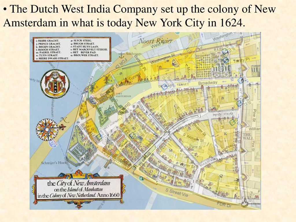 Objective To Examine The Development Of The Dutch Colony Of New