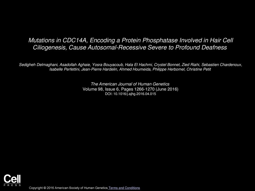 Mutations in CDC14A, Encoding a Protein Phosphatase Involved in Hair Cell Ciliogenesis, Cause Autosomal-Recessive Severe to Profound Deafness