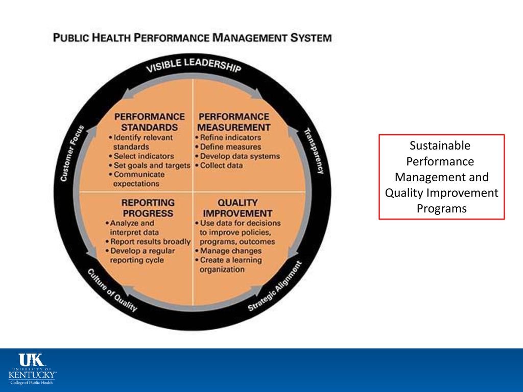 Performance measures. Performance Management Systems. Visible Analyst (visible Systems Corporation). Sustainable Performance cap. Establishment of quality circle.