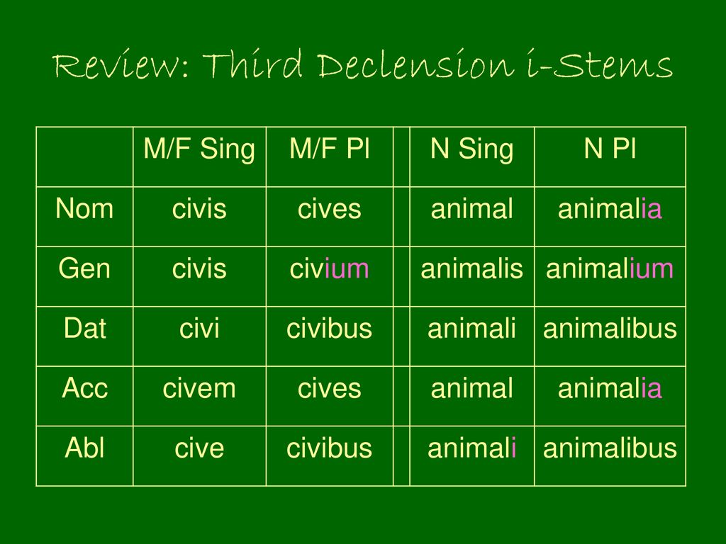 Third Declension Adjectives - ppt download