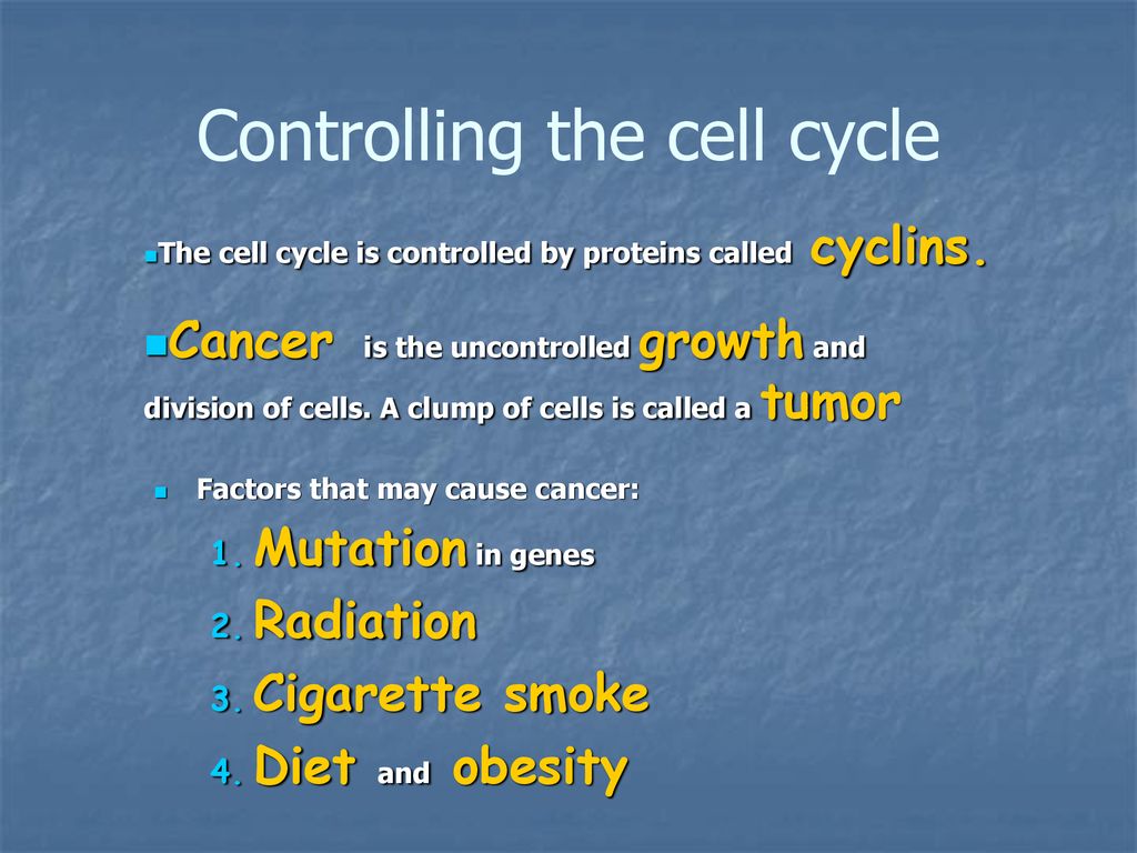 Cell Division and Mitosis Biology Diagrams