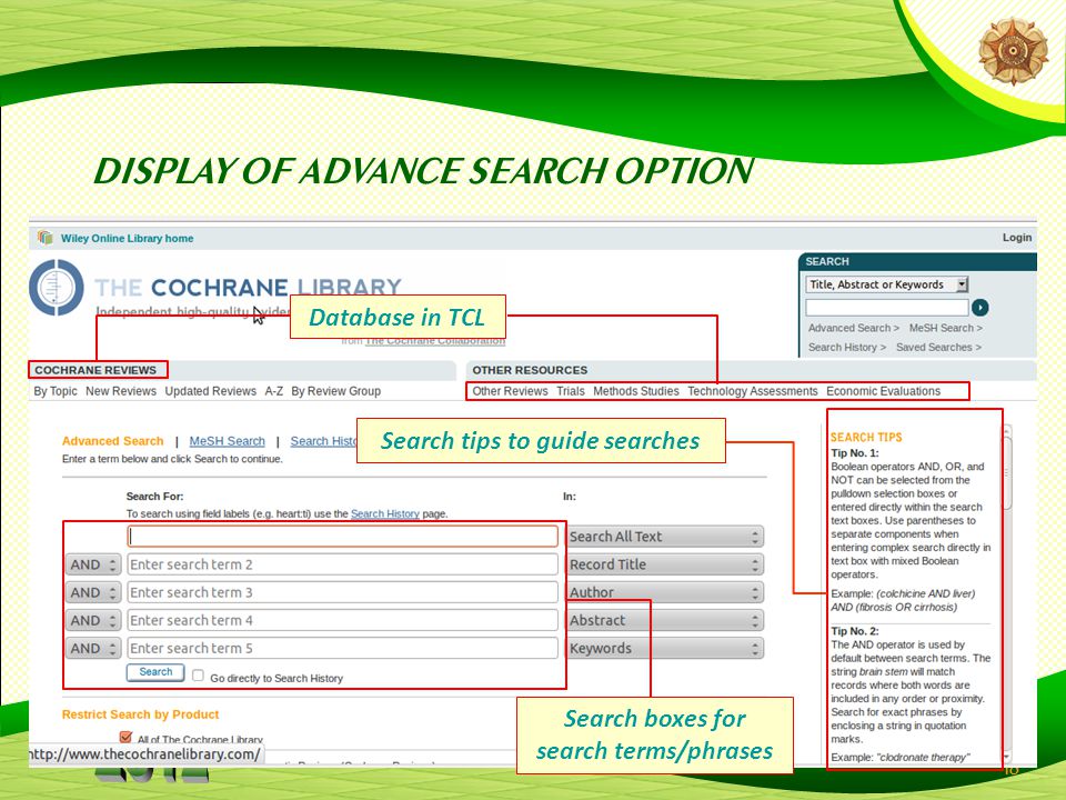 Search tips to guide searches Search boxes for search terms/phrases