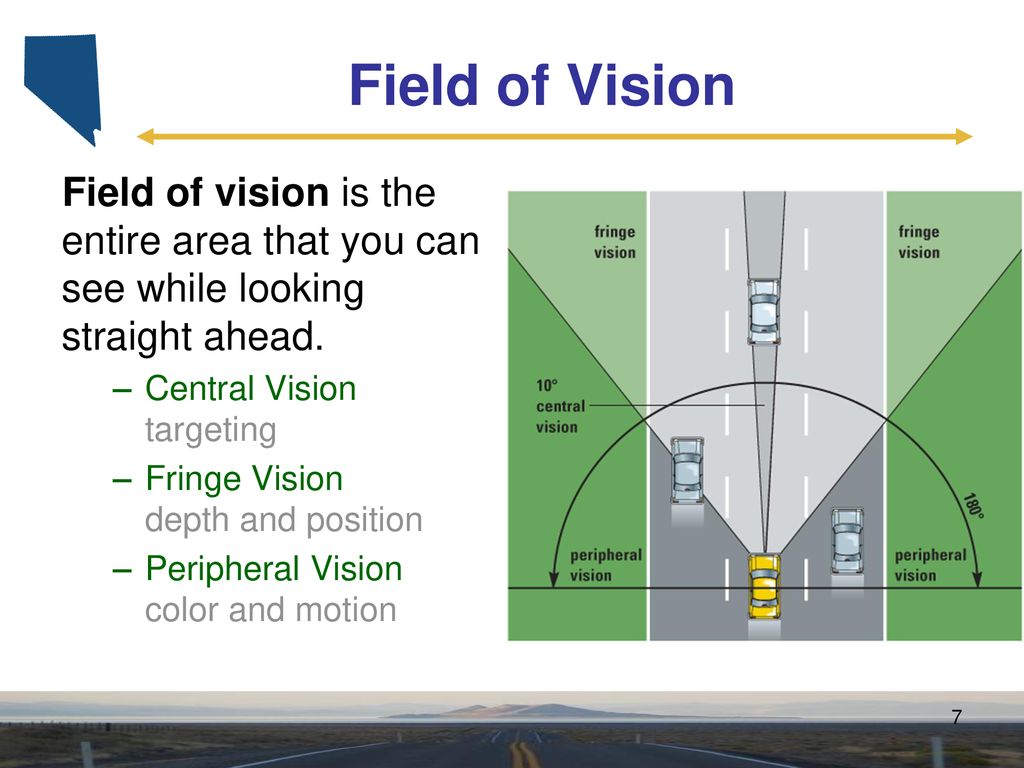 What Is Central Vision?