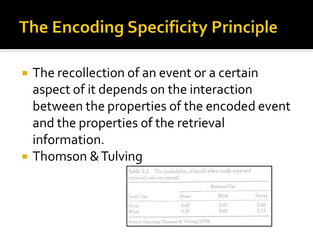 Perspective on processing ppt download