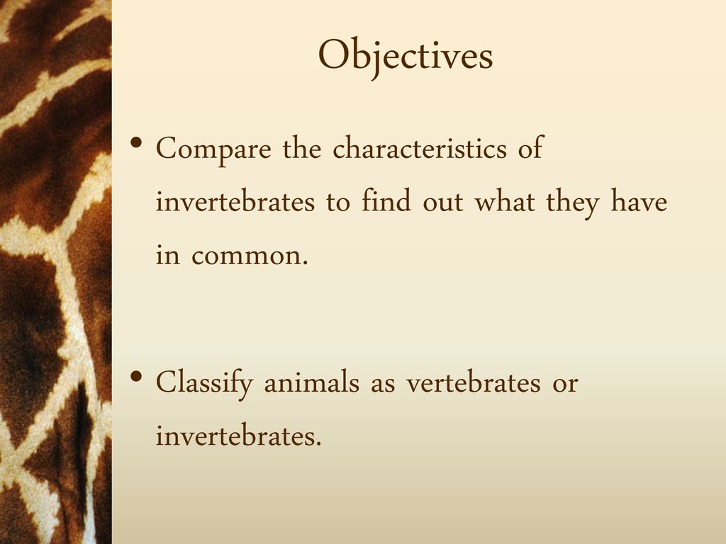 Classifying Living Things - ppt download