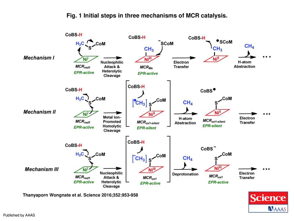 Fig. 1 Initial steps in three mechanisms of MCR catalysis.