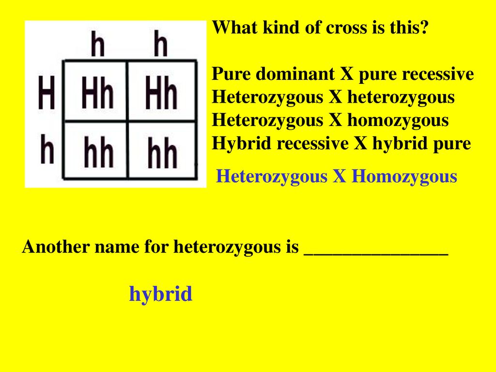 Practice Chapter 9 ppt download
