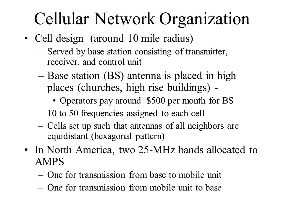 Cellular Network Organization