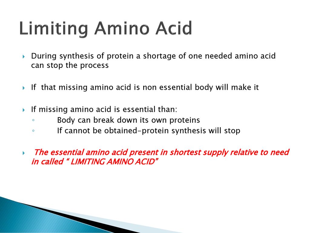 Chapter 6 Protein & Amino Acids. ppt download