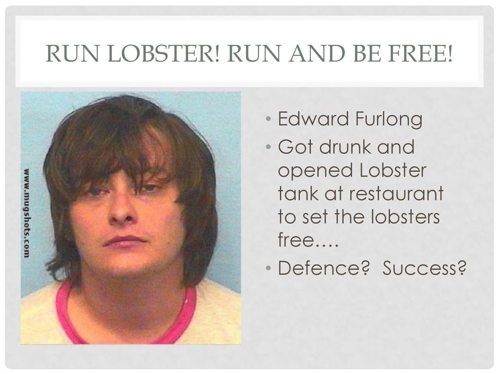 Run Lobster! Run and be Free!