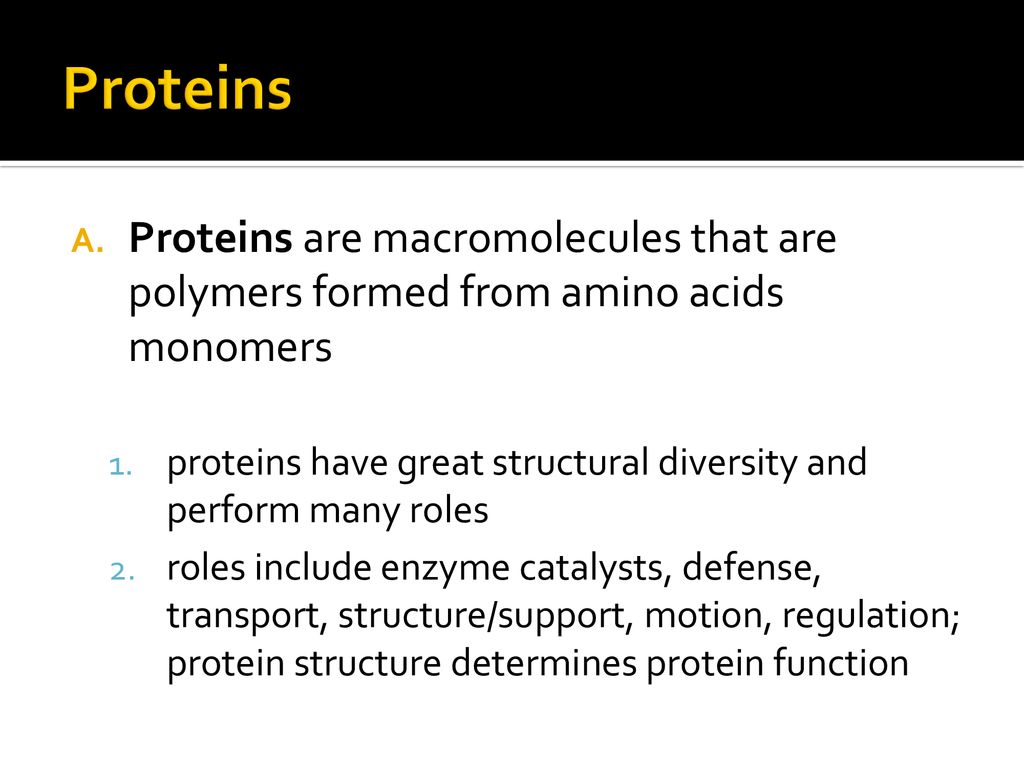 Diverse Macromolecules ppt download