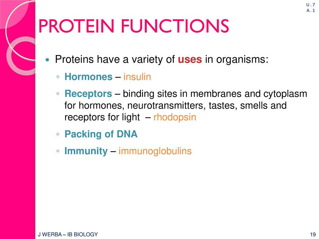 Proteins Have A Very Wide Range Of Functions In Living Organisms Ppt Download 3947