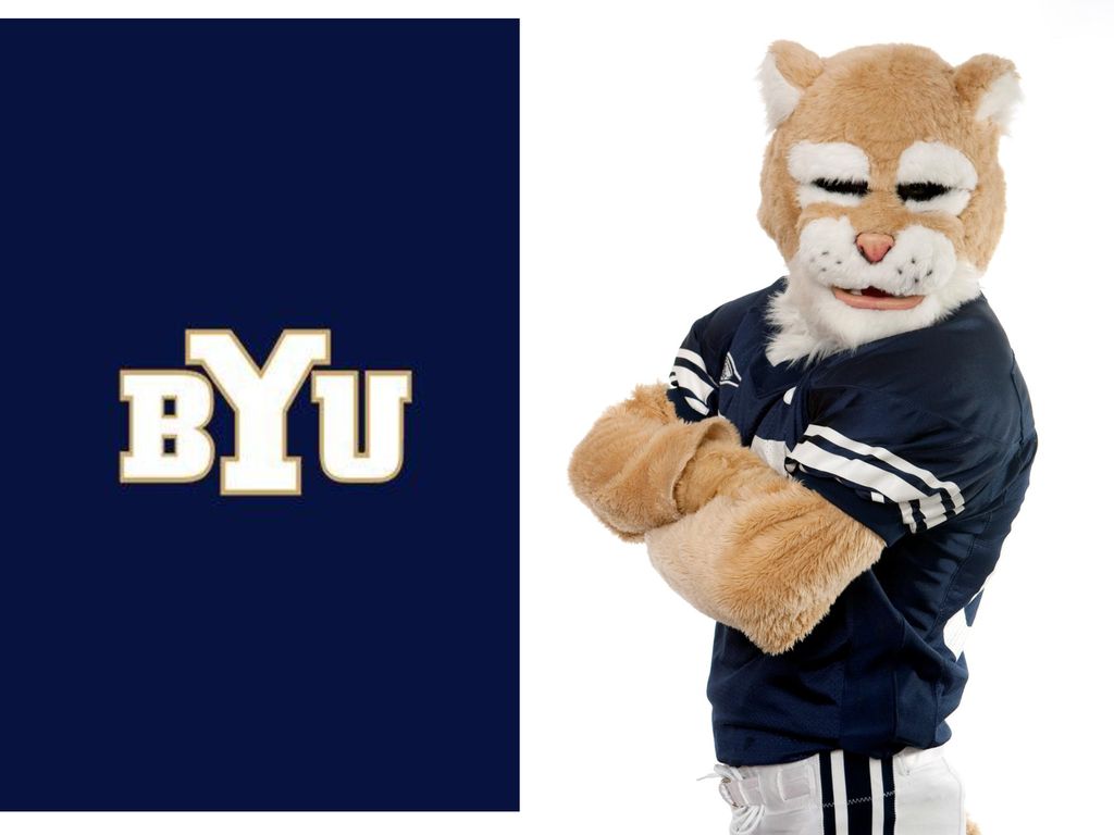 BYU Cougars (Provo Utah) – Blue and White – Cosmo