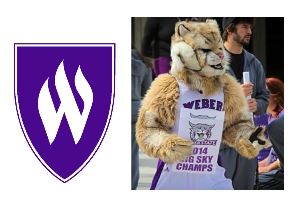 Weber State Wildcats (Ogden Utah) – Purple and White - Waldo