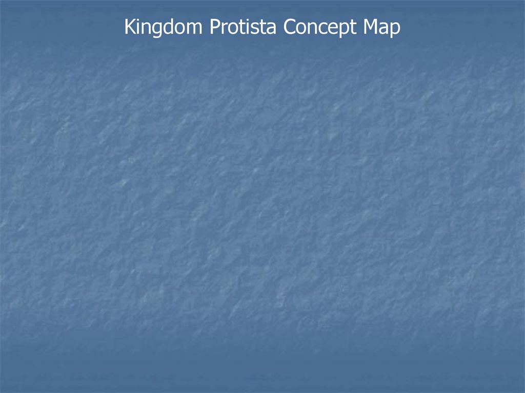 The Kingdom Protista. - Ppt Download