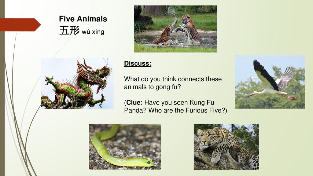 Lesson 9: Ways of Thinking and Living in China - ppt download