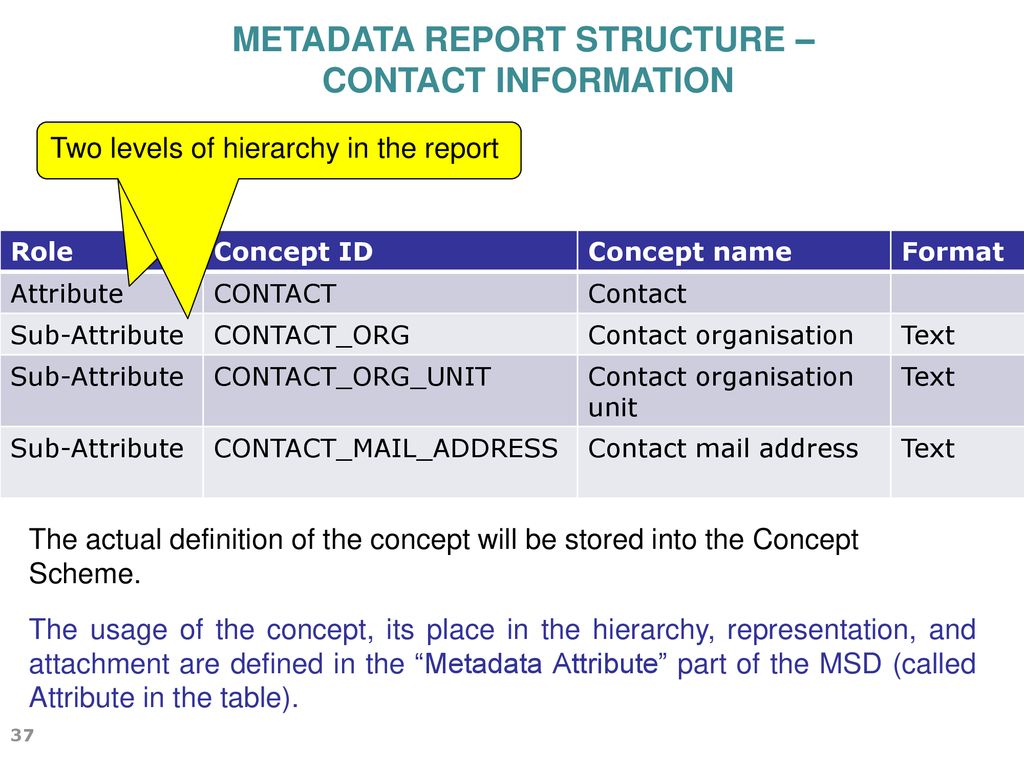 Metadata Report Structure – Contact Information Two levels of hierarchy in the report. Role. Concept ID.