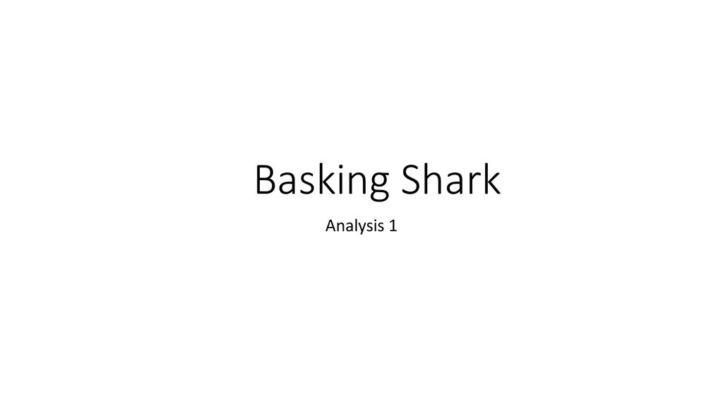 Basking Shark Analysis ppt download
