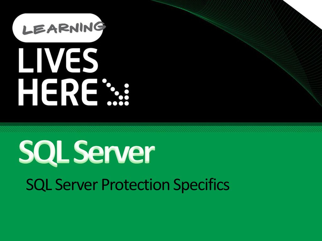 SQL Server Protection Specifics