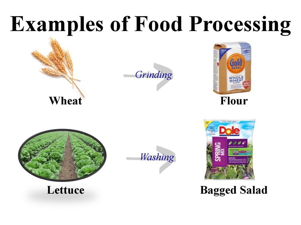 The Quicker The Better Food Processing Ppt Download the-quicker-the-better-food-processing-ppt-download
