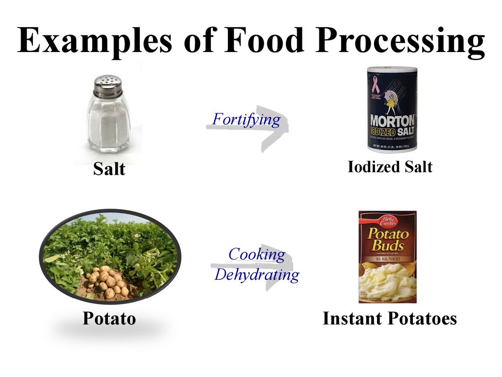 The Quicker The Better Food Processing Ppt Download the-quicker-the-better-food-processing-ppt-download